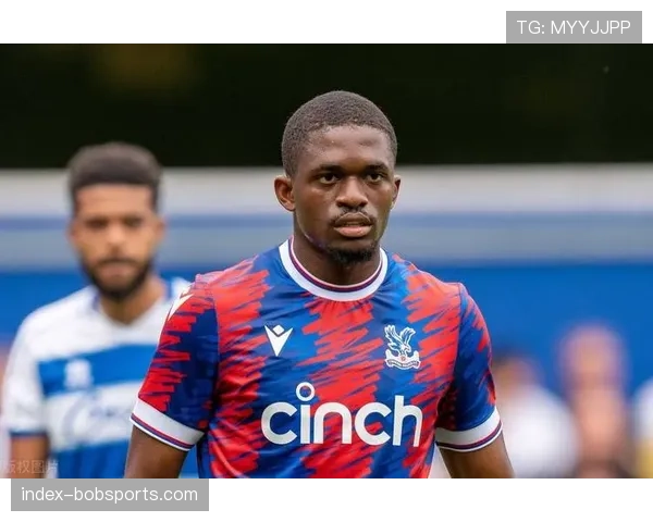 水晶宫亏损6670万欧元全欧第一 锋线豪赌面临巨大财务压力